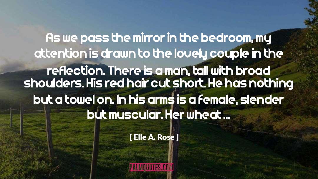 Elle A. Rose Quotes: As we pass the mirror