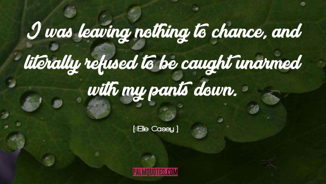 Elle Casey Quotes: I was leaving nothing to