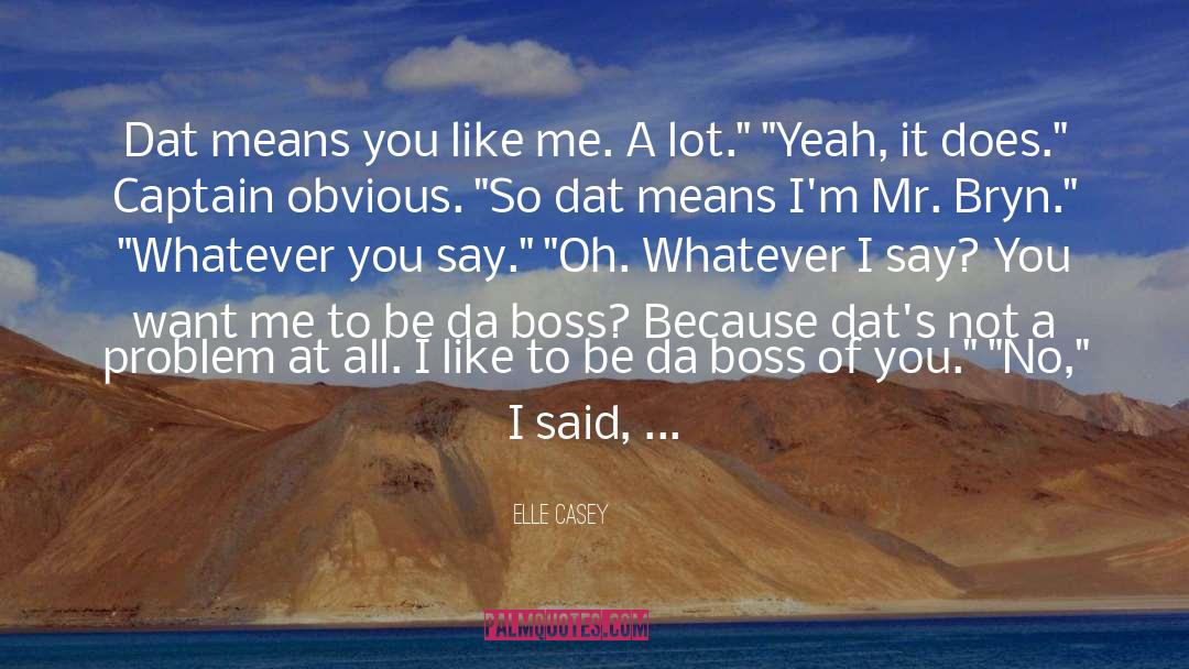Elle Casey Quotes: Dat means you like me.