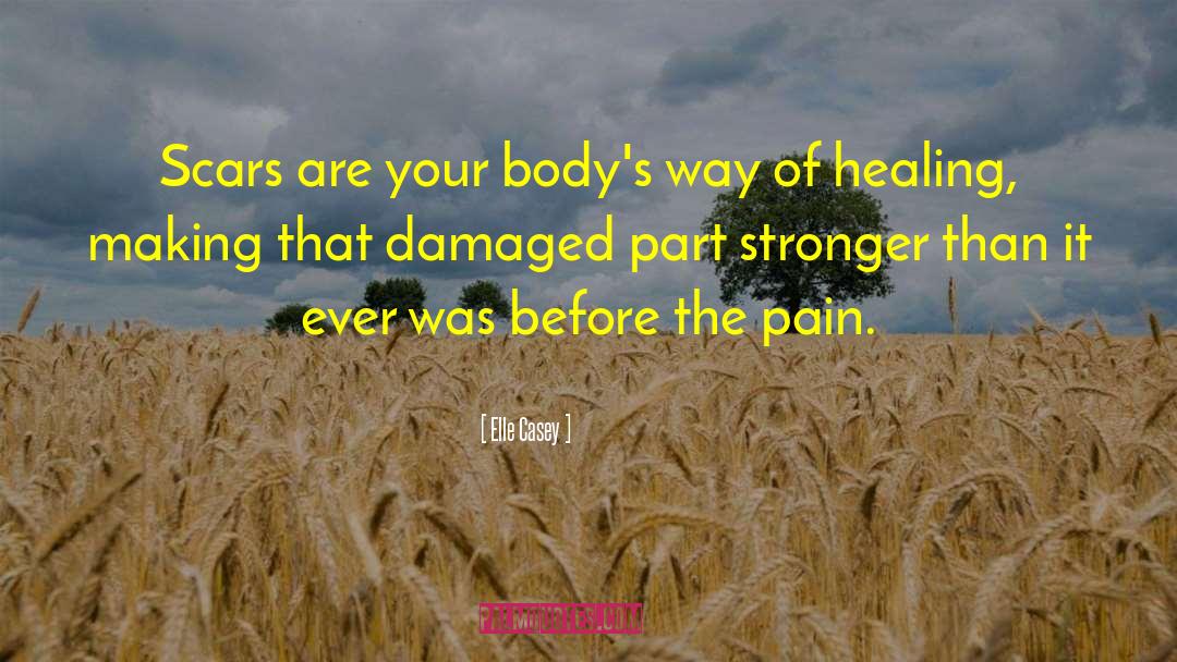 Elle Casey Quotes: Scars are your body's way