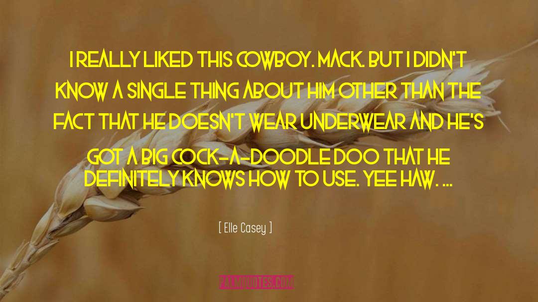 Elle Casey Quotes: I really liked this cowboy.