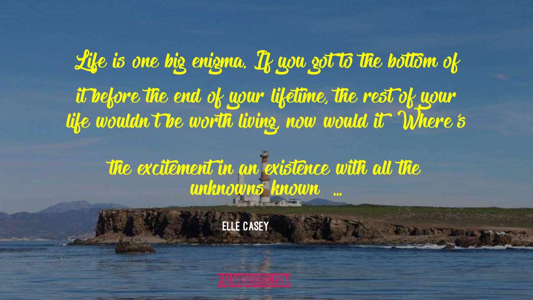 Elle Casey Quotes: Life is one big enigma.