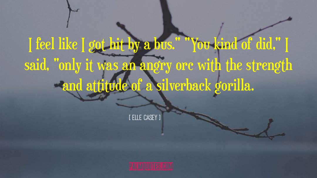 Elle Casey Quotes: I feel like I got