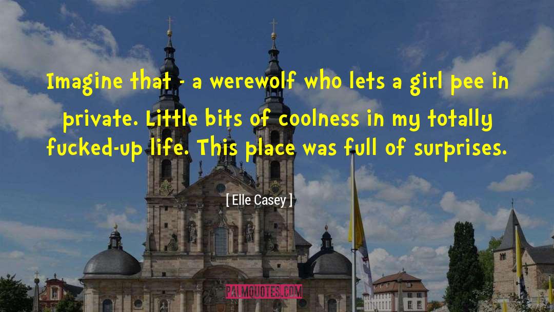 Elle Casey Quotes: Imagine that - a werewolf