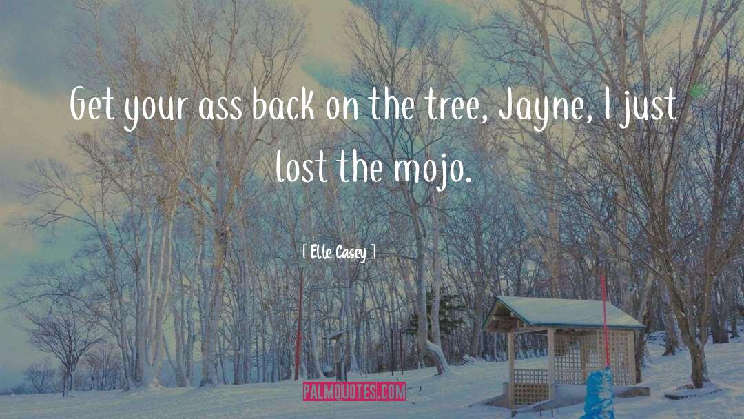 Elle Casey Quotes: Get your ass back on