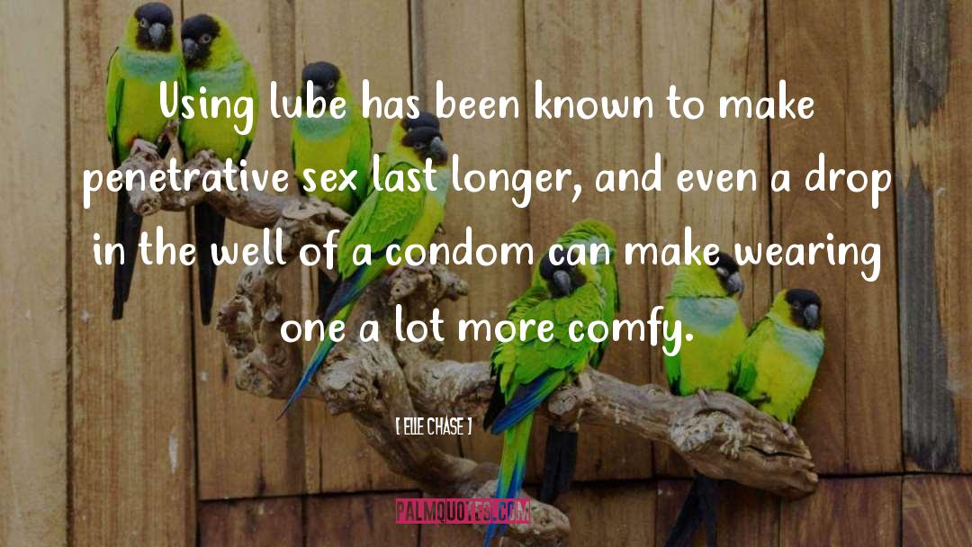 Elle Chase Quotes: Using lube has been known