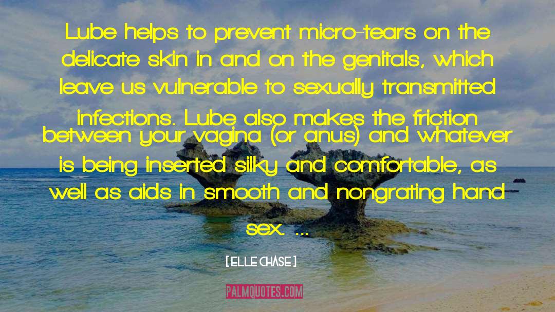 Elle Chase Quotes: Lube helps to prevent micro-tears