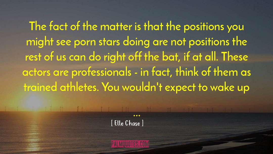 Elle Chase Quotes: The fact of the matter