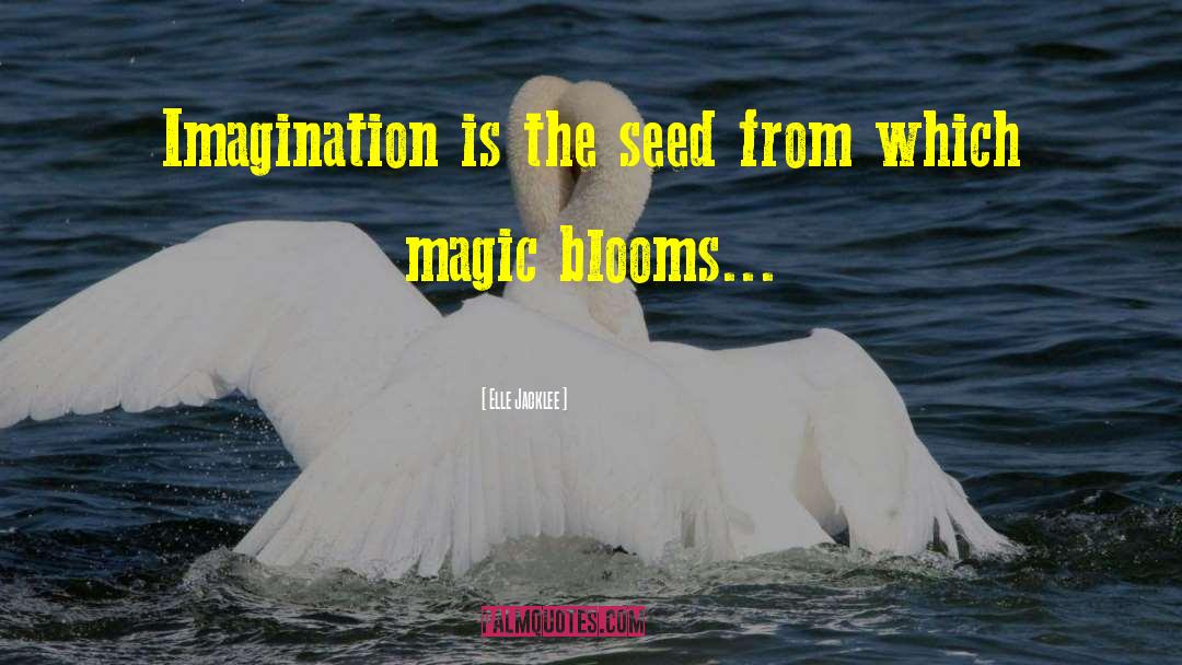Elle Jacklee Quotes: Imagination is the seed from