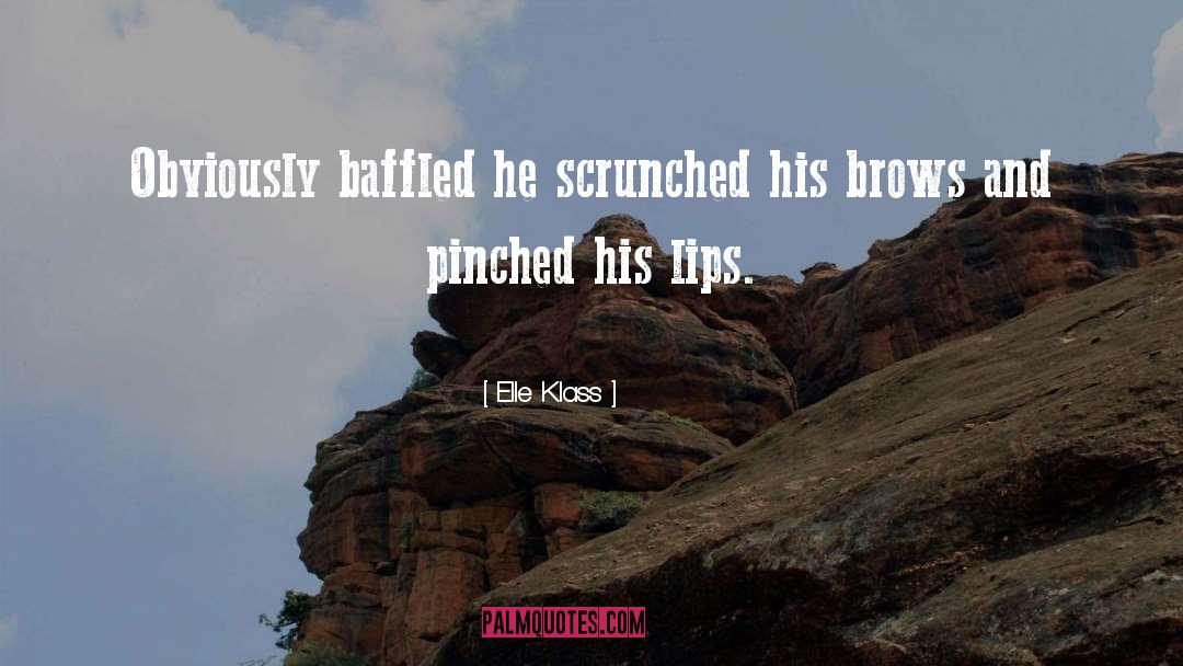 Elle Klass Quotes: Obviously baffled he scrunched his