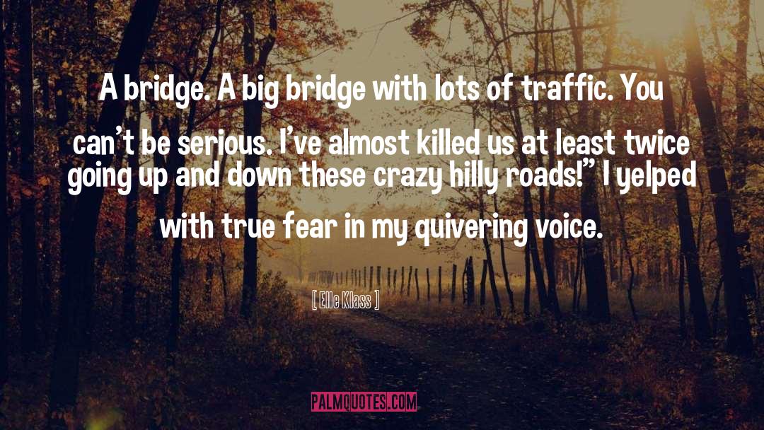 Elle Klass Quotes: A bridge. A big bridge