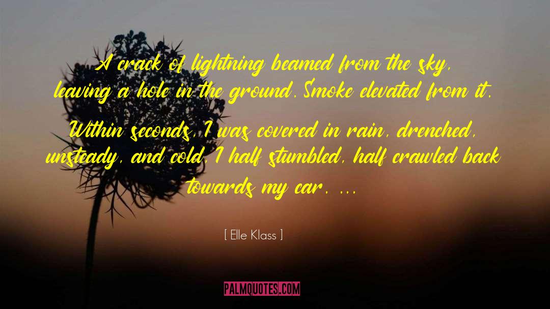 Elle Klass Quotes: A crack of lightning beamed