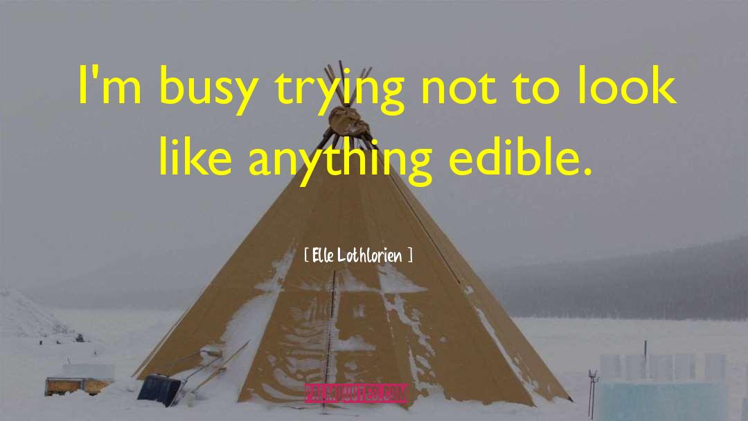 Elle Lothlorien Quotes: I'm busy trying not to