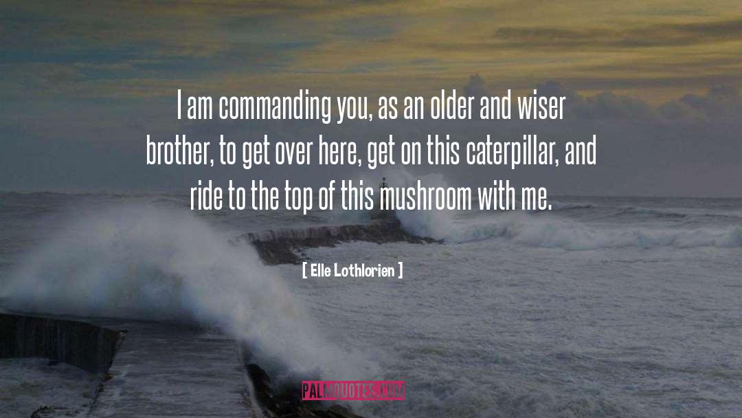 Elle Lothlorien Quotes: I am commanding you, as