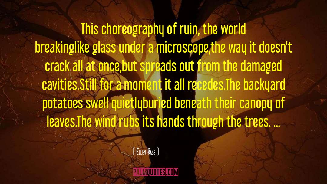 Ellen Bass Quotes: This choreography of ruin, the