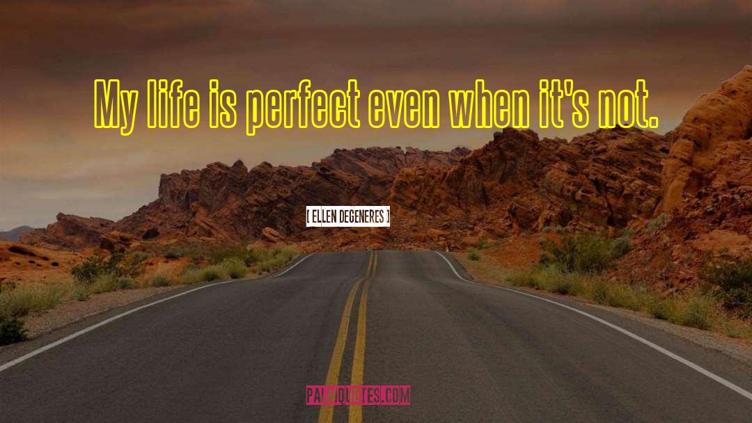 Ellen DeGeneres Quotes: My life is perfect even