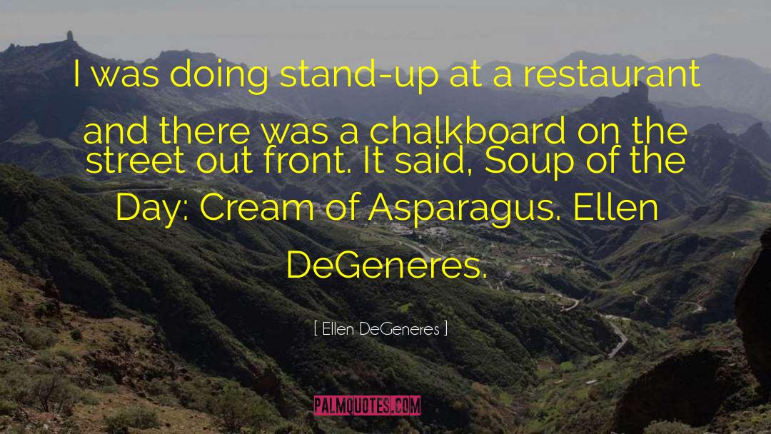 Ellen DeGeneres Quotes: I was doing stand-up at