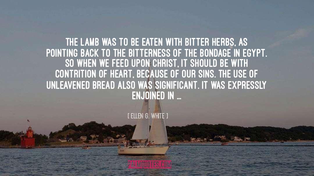 Ellen G. White Quotes: The lamb was to be