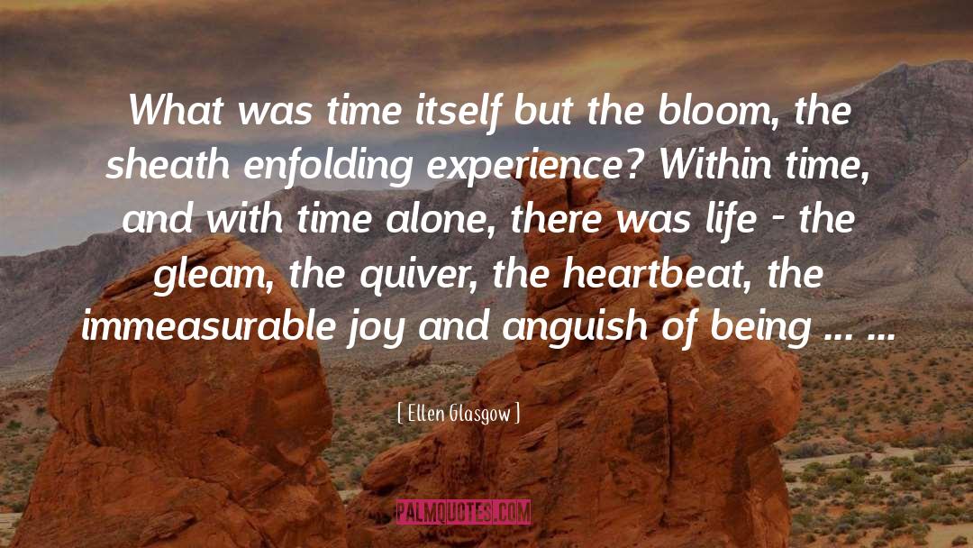 Ellen Glasgow Quotes: What was time itself but