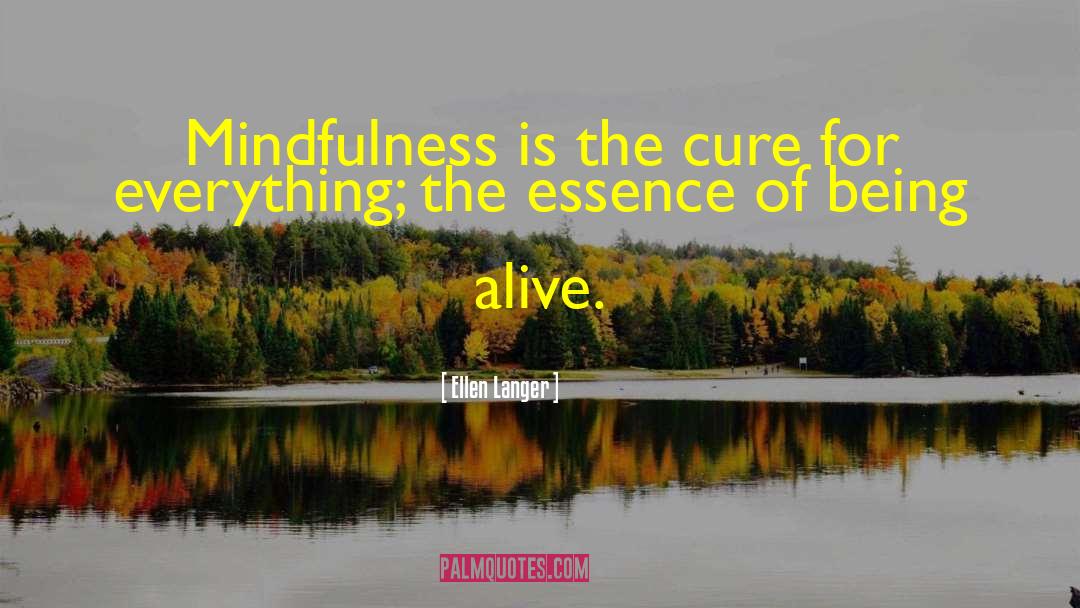 Ellen Langer Quotes: Mindfulness is the cure for