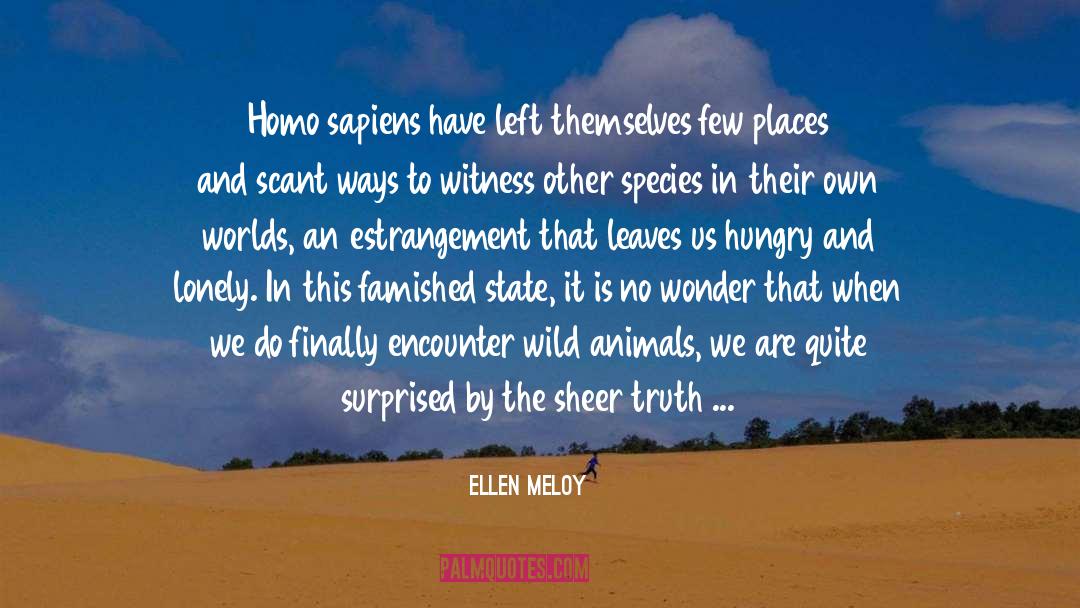 Ellen Meloy Quotes: Homo sapiens have left themselves
