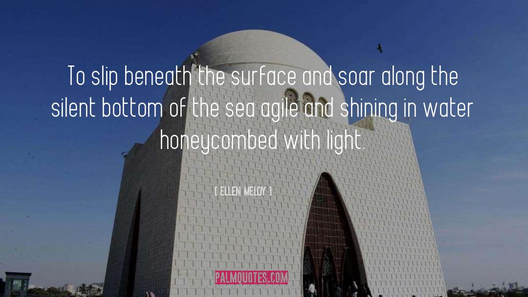 Ellen Meloy Quotes: To slip beneath the surface