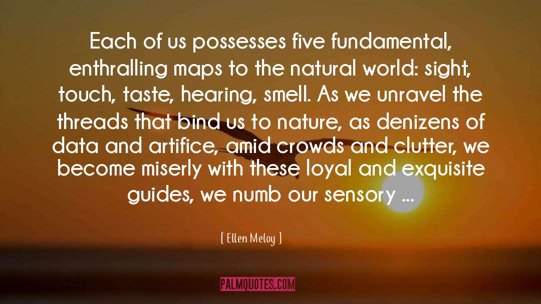 Ellen Meloy Quotes: Each of us possesses five