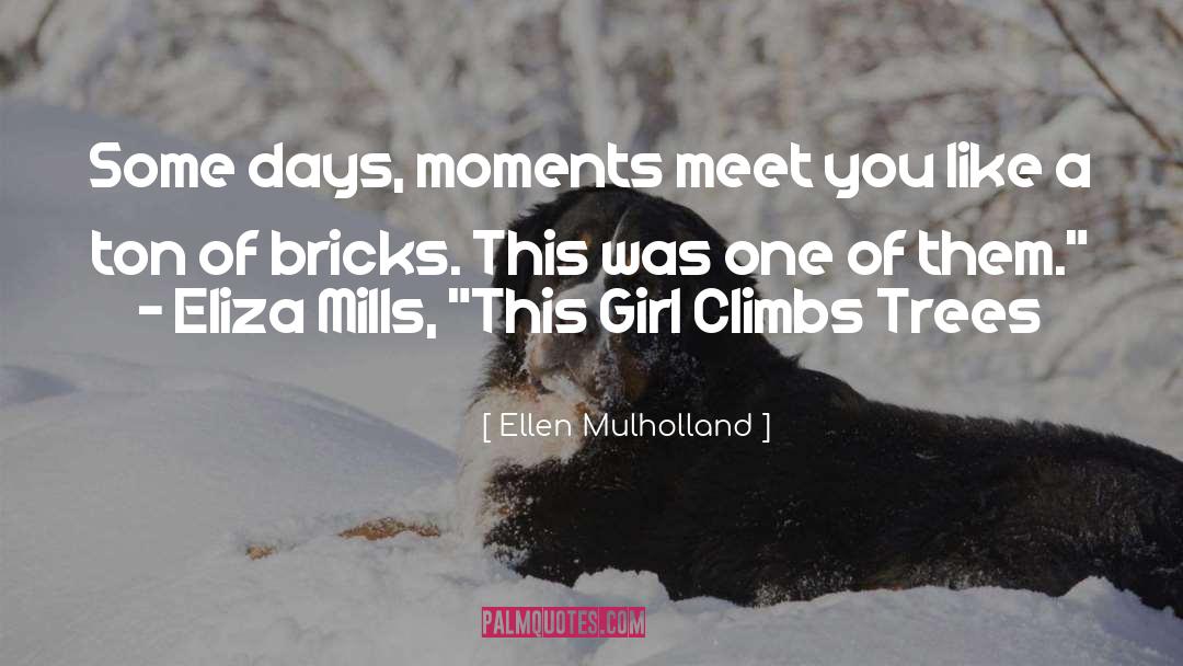 Ellen Mulholland Quotes: Some days, moments meet you