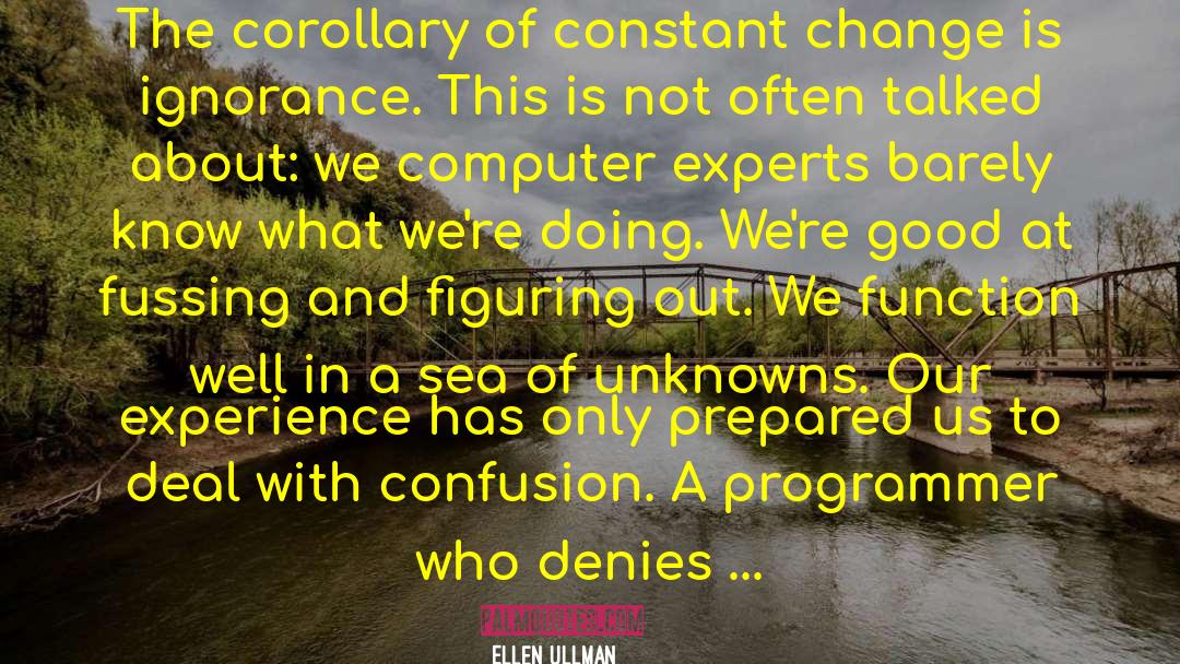 Ellen Ullman Quotes: The corollary of constant change