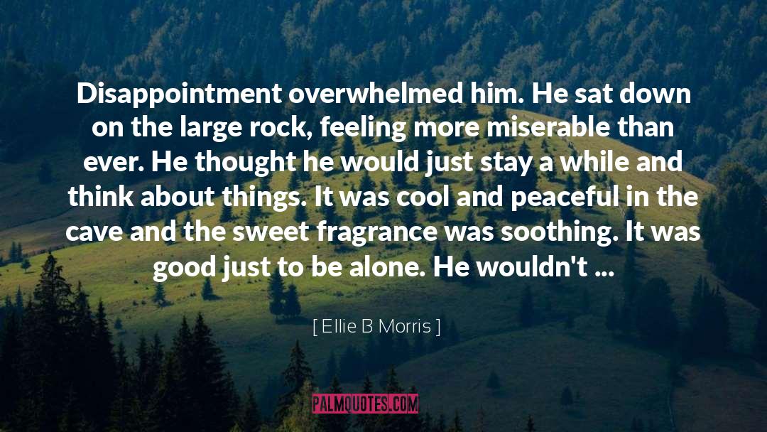 Ellie B Morris Quotes: Disappointment overwhelmed him. He sat
