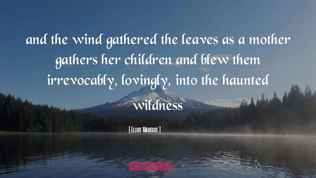 Elliot Mabeuse Quotes: and the wind gathered the
