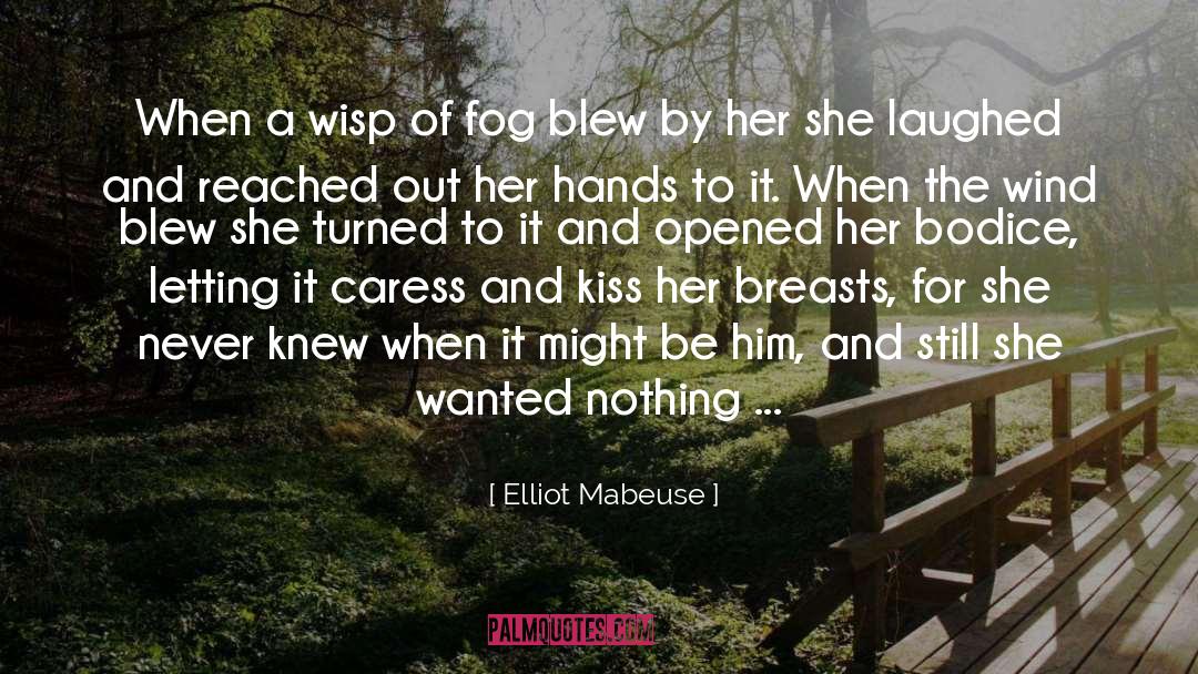 Elliot Mabeuse Quotes: When a wisp of fog