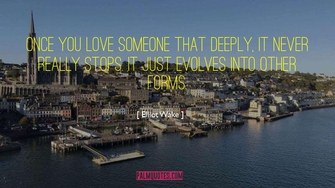 Elliot Wake Quotes: Once you love someone that