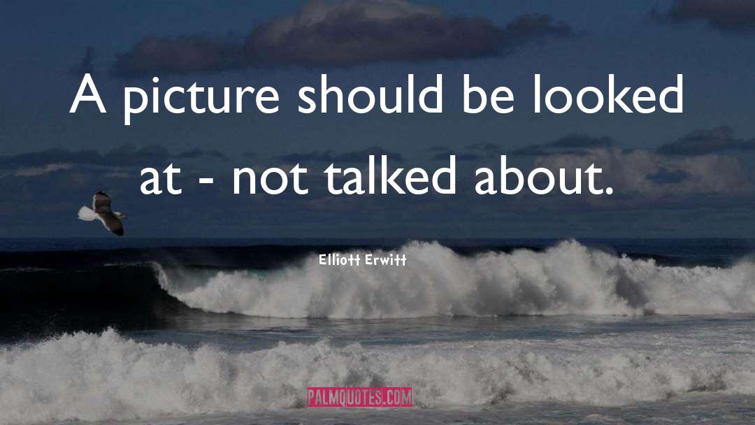 Elliott Erwitt Quotes: A picture should be looked