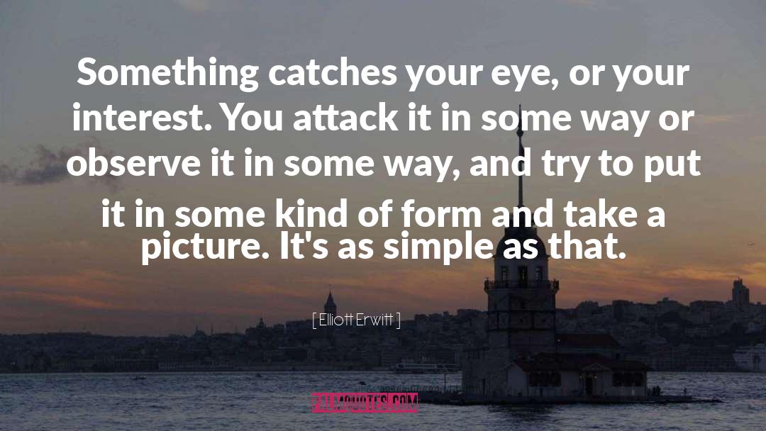 Elliott Erwitt Quotes: Something catches your eye, or