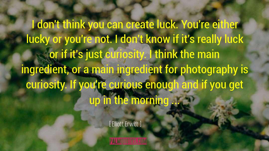 Elliott Erwitt Quotes: I don't think you can