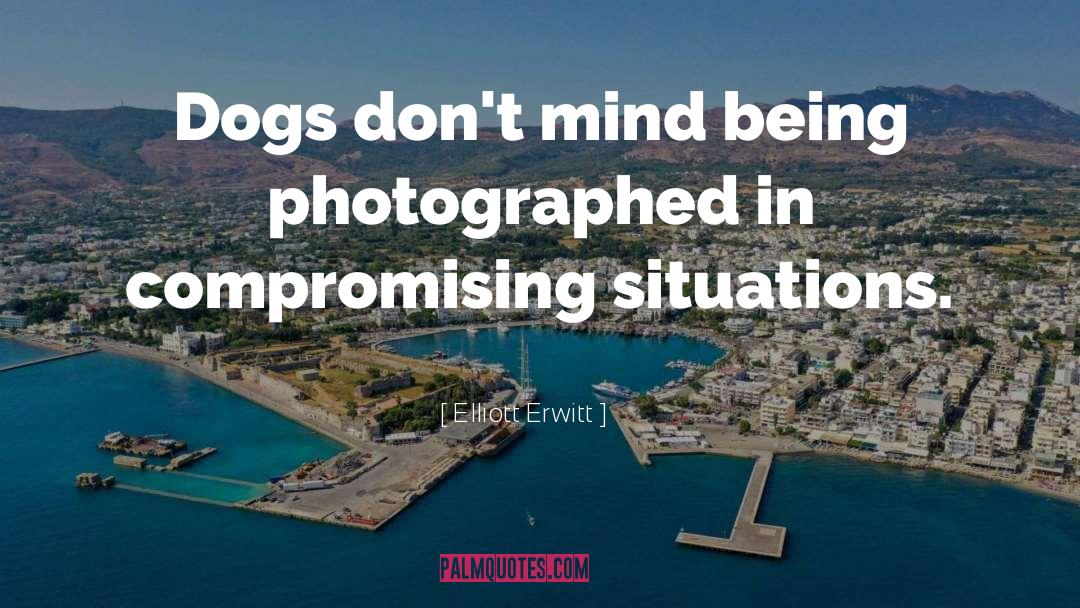 Elliott Erwitt Quotes: Dogs don't mind being photographed