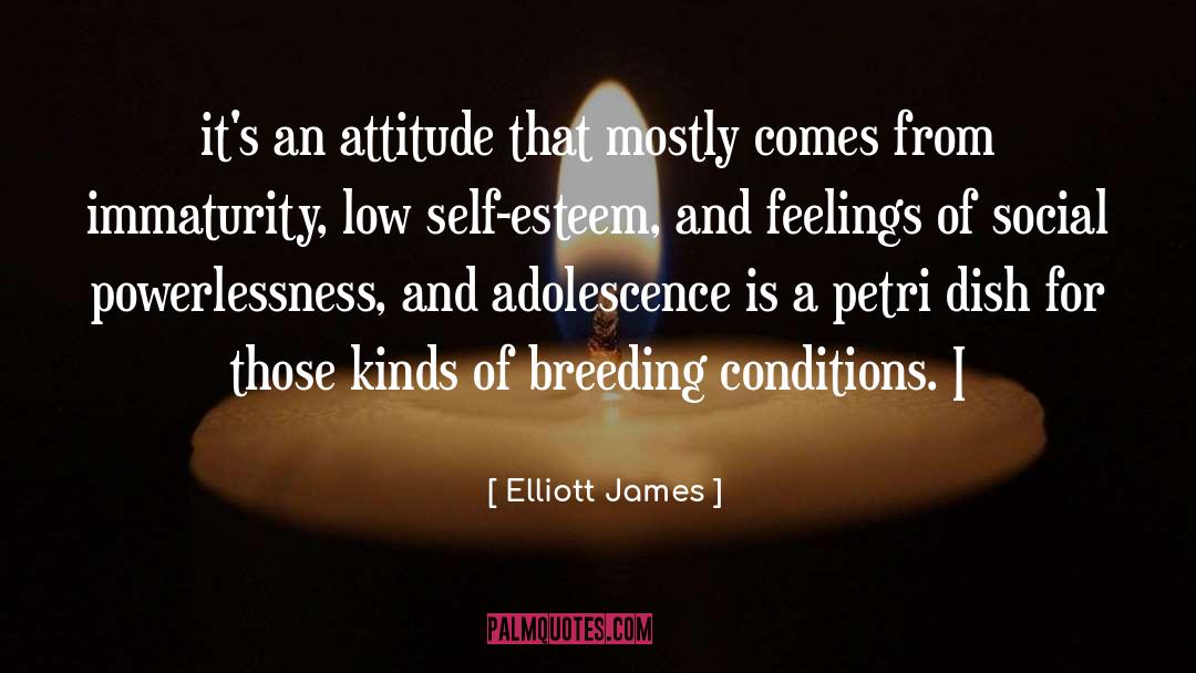 Elliott James Quotes: it's an attitude that mostly