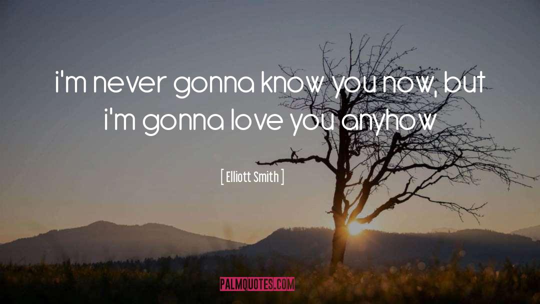 Elliott Smith Quotes: i'm never gonna know you