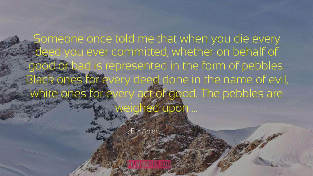 Ellis Adler Quotes: Someone once told me that