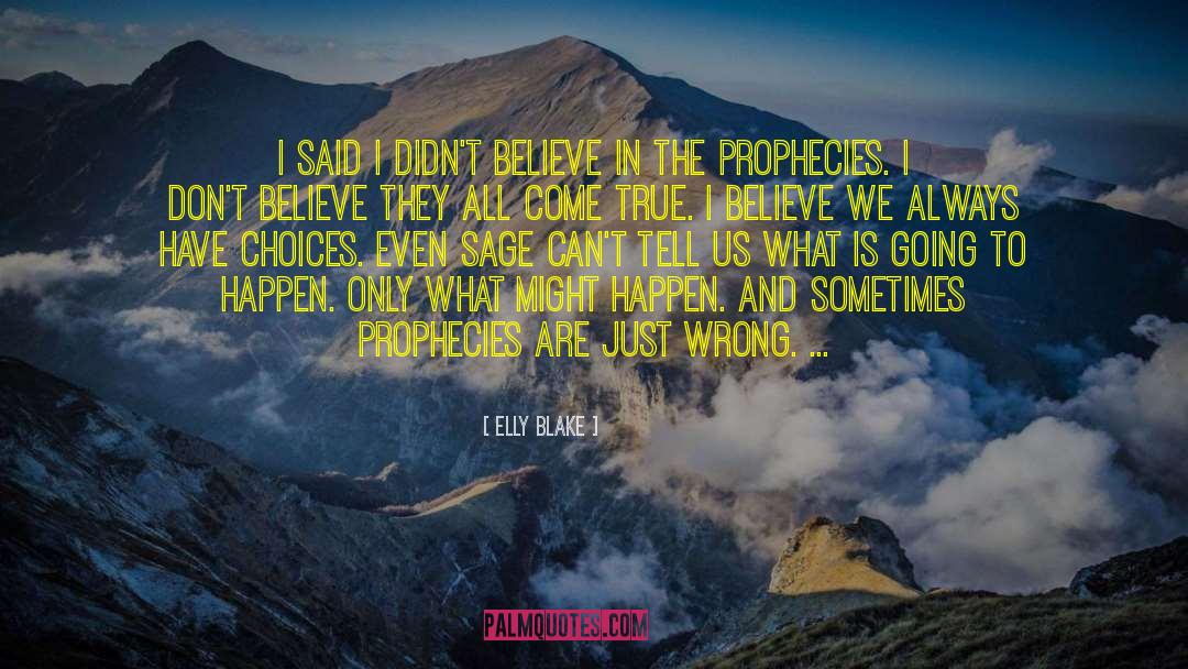 Elly Blake Quotes: I said I didn't believe