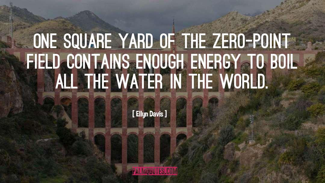 Ellyn Davis Quotes: One square yard of the