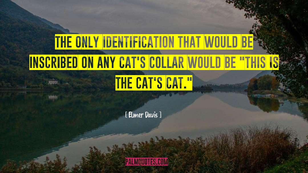 Elmer Davis Quotes: The only identification that would