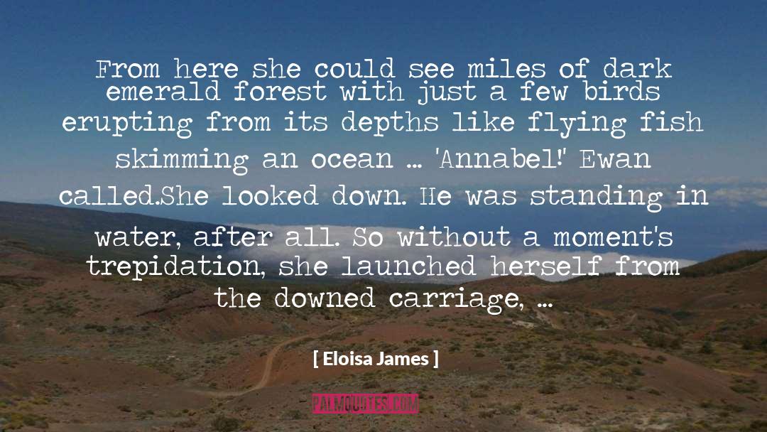 Eloisa James Quotes: From here she could see