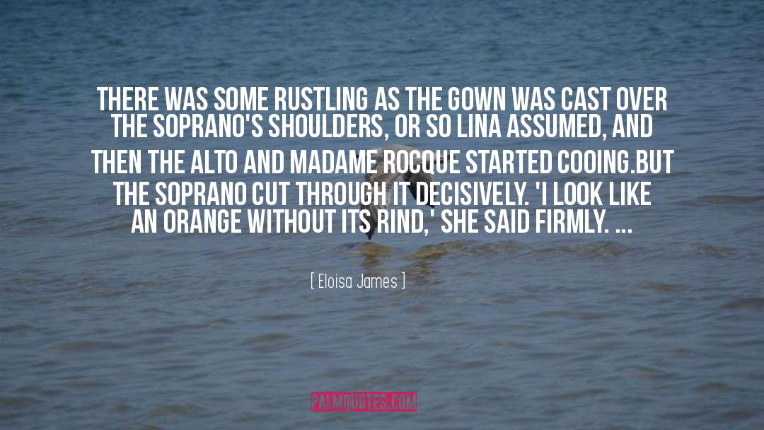 Eloisa James Quotes: There was some rustling as