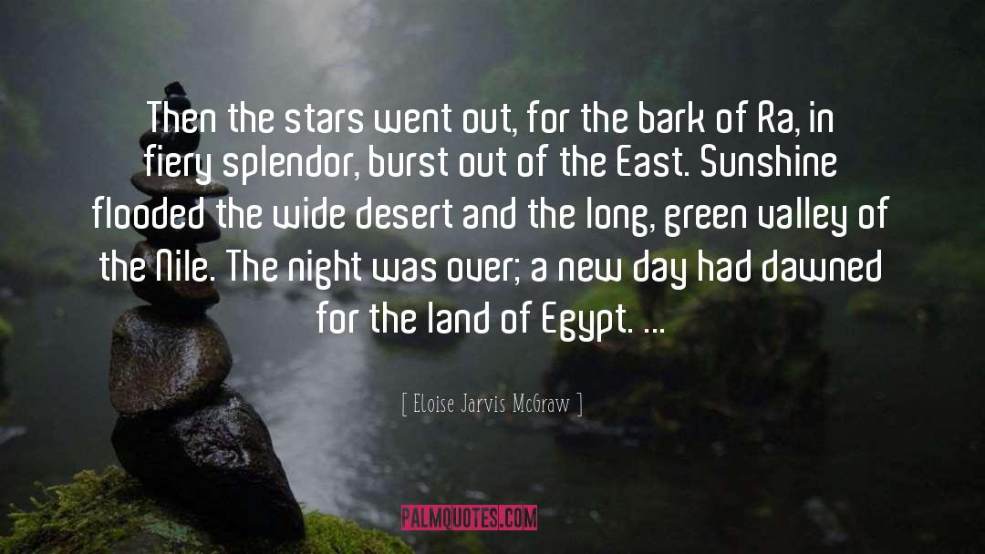 Eloise Jarvis McGraw Quotes: Then the stars went out,