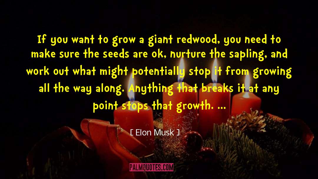 Elon Musk Quotes: If you want to grow