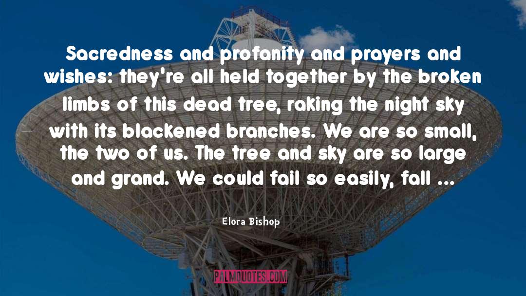 Elora Bishop Quotes: Sacredness and profanity and prayers