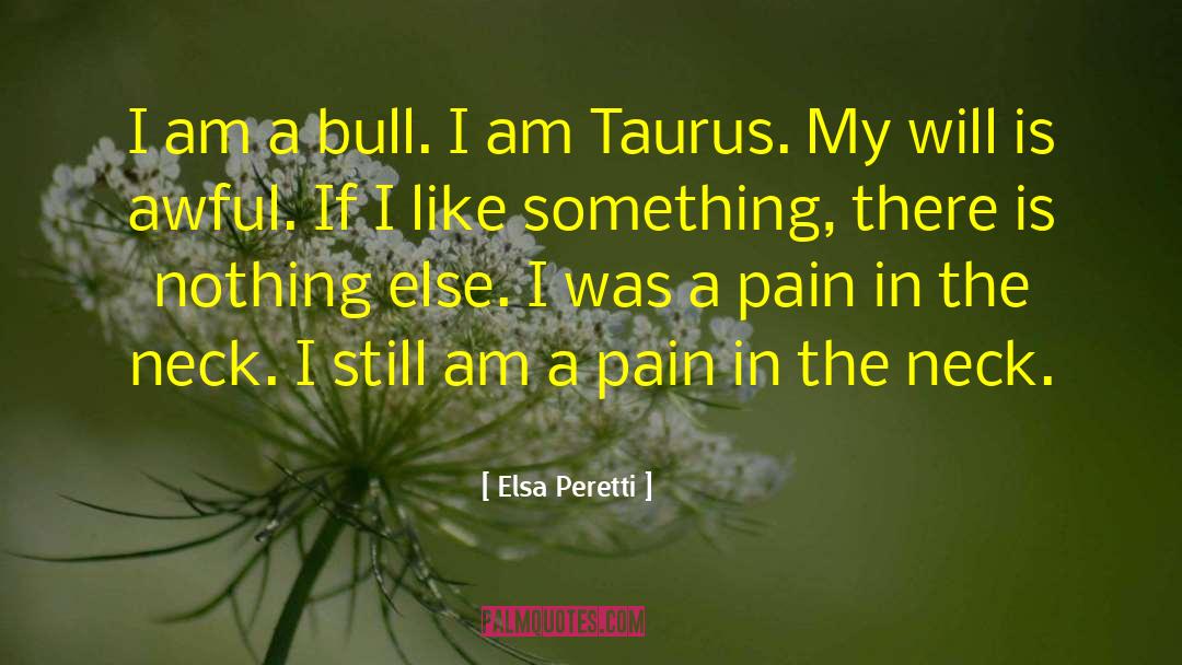 Elsa Peretti Quotes: I am a bull. I