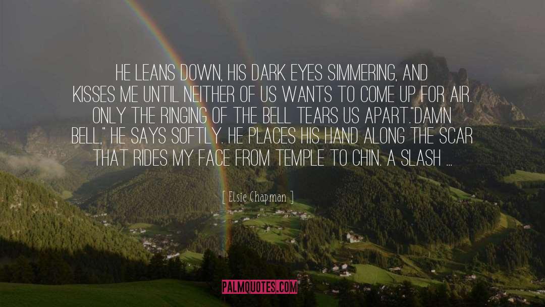 Elsie Chapman Quotes: He leans down, his dark
